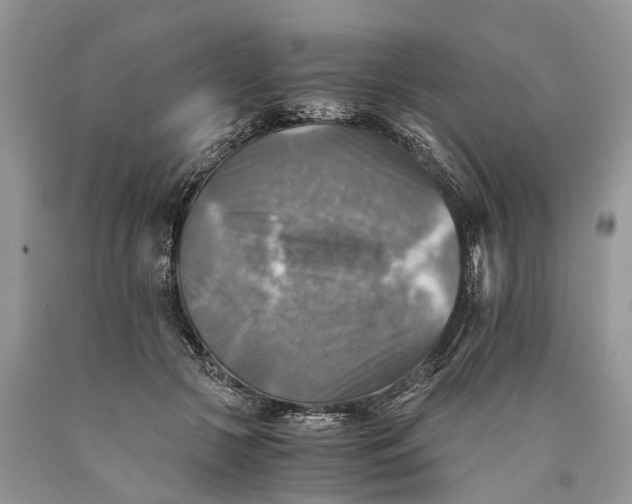 X0000089920553200707201820