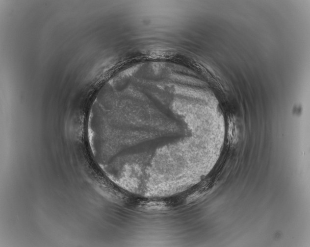 X0000089920554200707201820