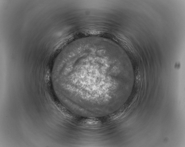 X0000089920555200707201820