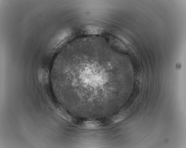 X0000089920556200707201820