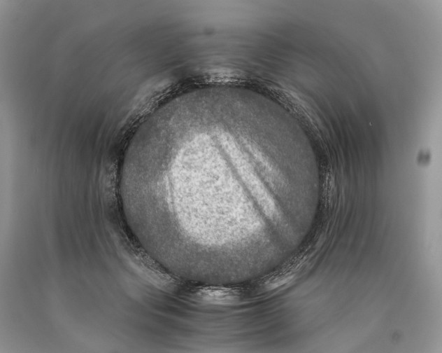 X0000089920557200707201820