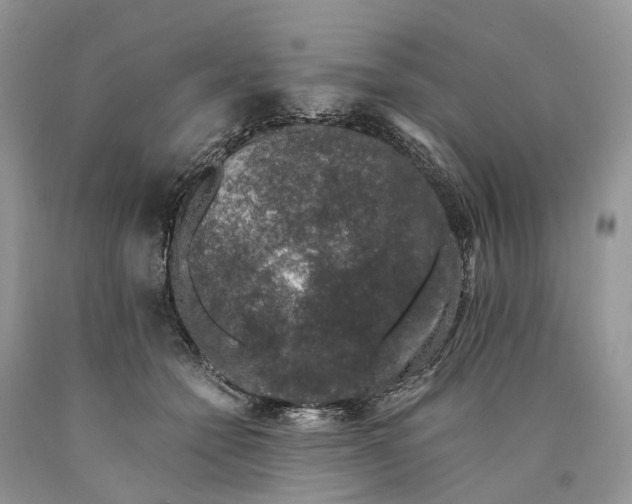 X0000089920558200707201820