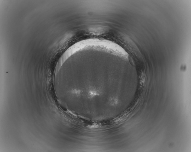 X0000089920559200707201820