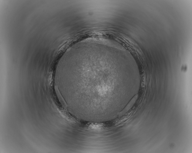 X0000089920560200707201820