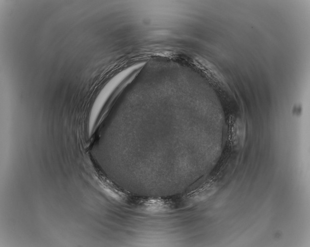 X0000089920562200707201820