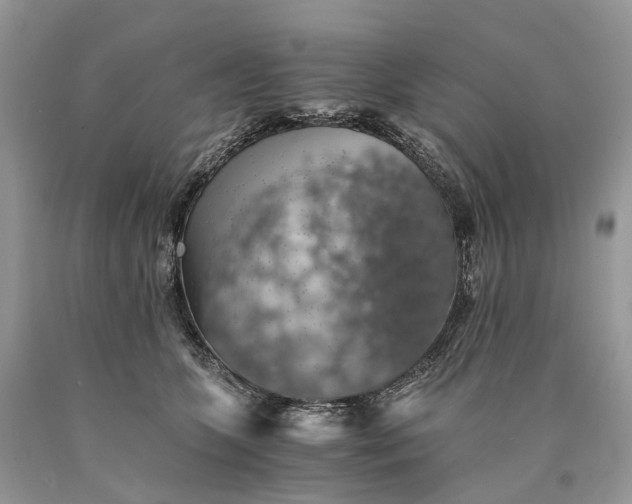 X0000089920563200707201820