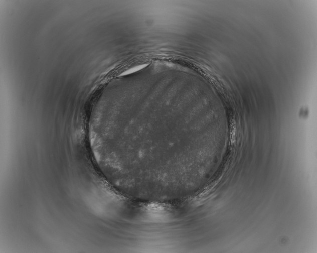 X0000089920566200707201821