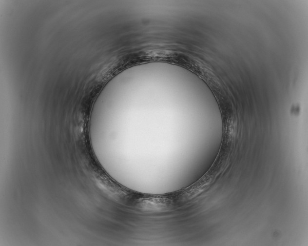 X0000089920567200707201821