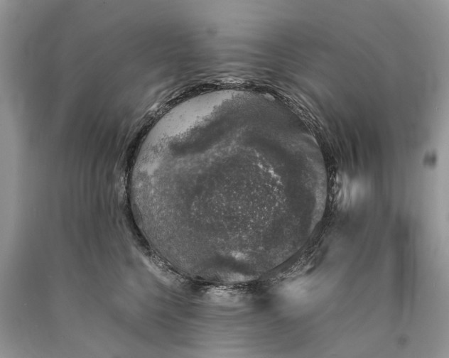 X0000089920568200707201821