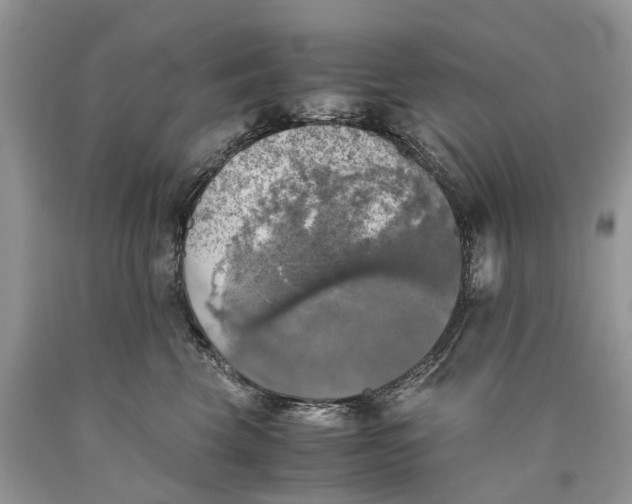 X0000089920569200707201821