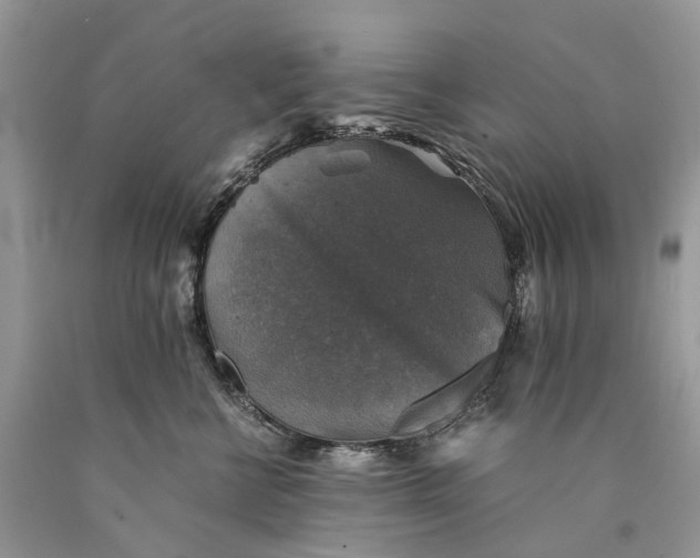 X0000089920570200707201821