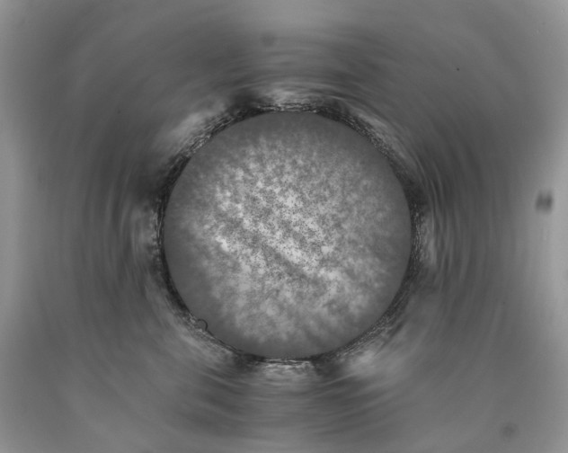 X0000089920571200707201821