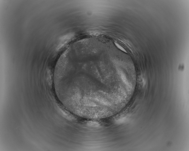 X0000089920572200707201821