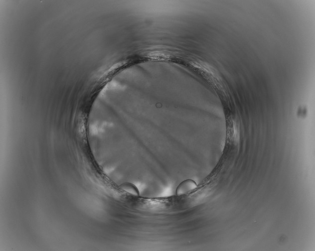 X0000089920573200707201821