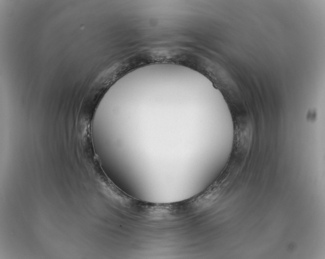 X0000089920574200707201821