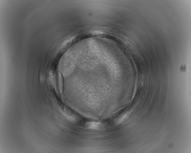 X0000089920575200707201821