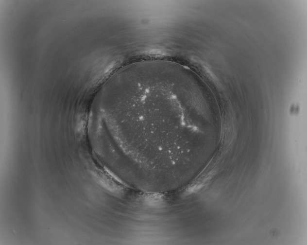 X0000089920576200707201821