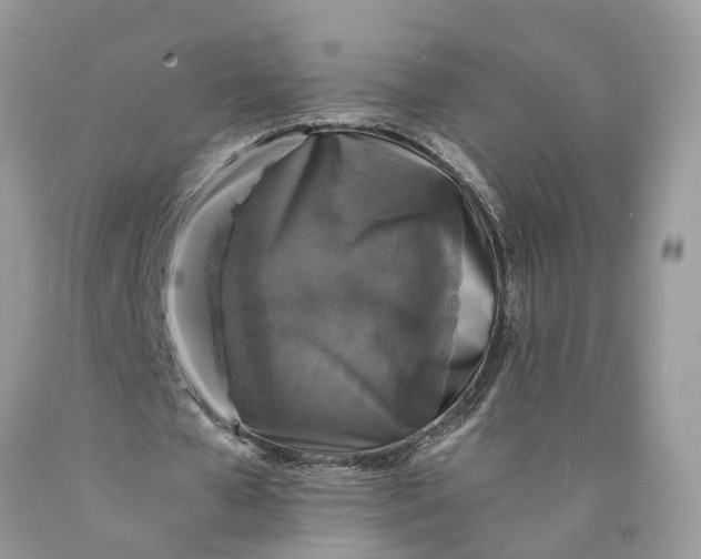 X0000089920577200707201820