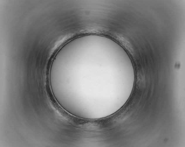 X0000089920578200707201820