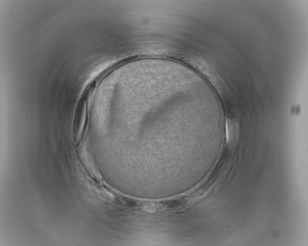 X0000089920579200707201820