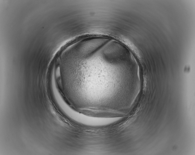 X0000089920580200707201820