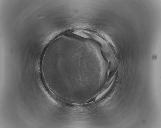 X0000089920581200707201820