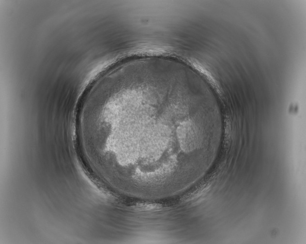 X0000089920582200707201820