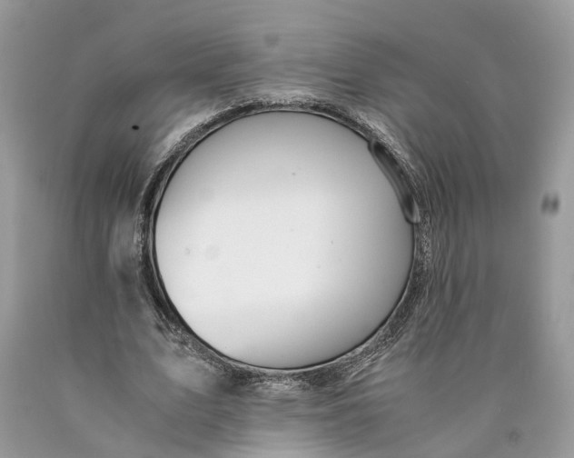 X0000089920583200707201820