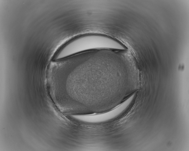 X0000089920584200707201820