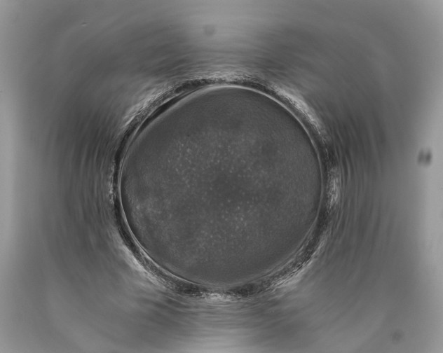 X0000089920585200707201820