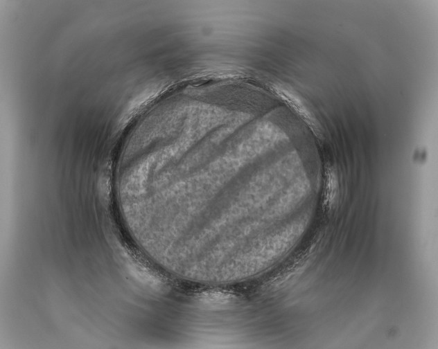 X0000089920586200707201820