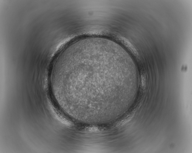 X0000089920588200707201820