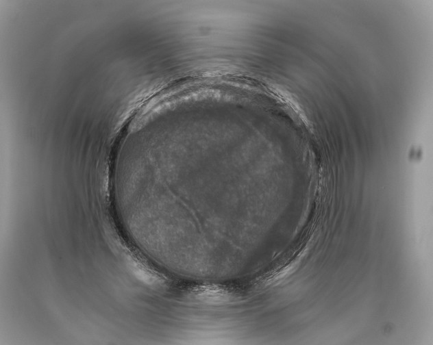 X0000089920589200707201820