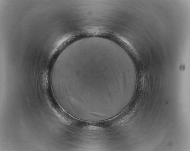 X0000089920590200707201820