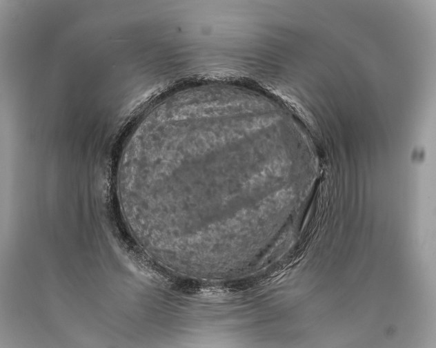 X0000089920591200707201820