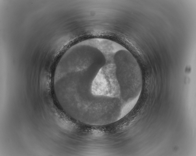 X0000089920592200707201820