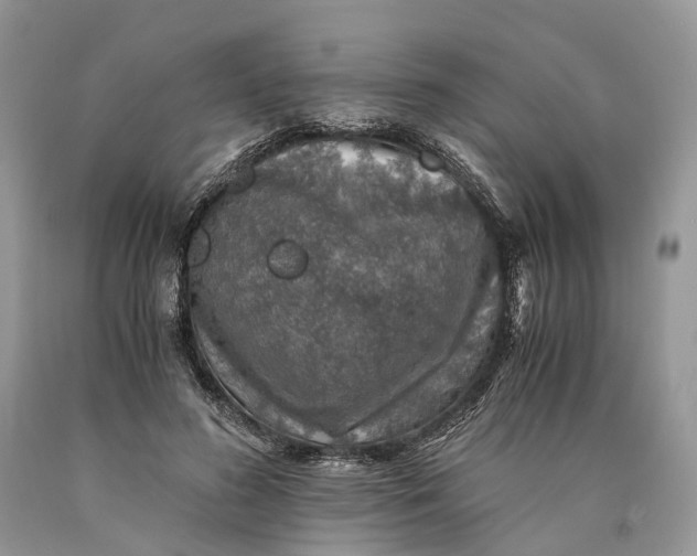 X0000089920596200707201820