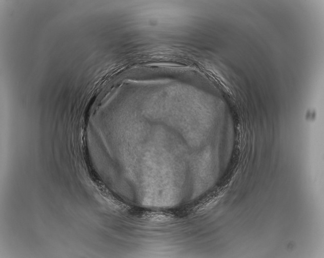 X0000089920597200707201820