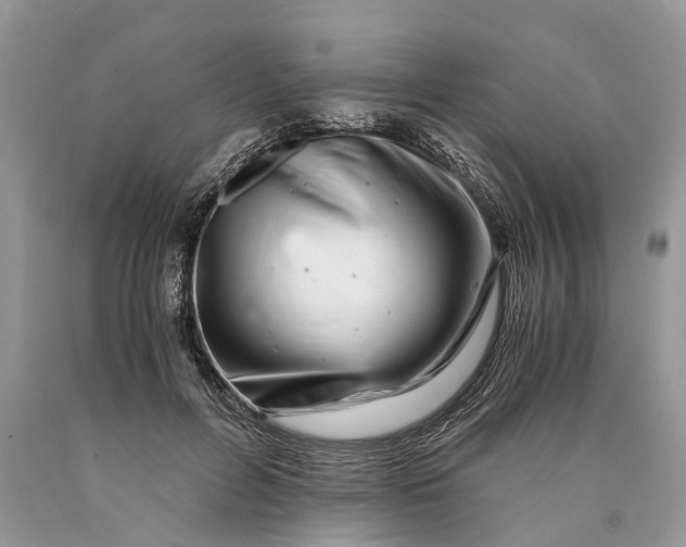 X0000089920600200707201820