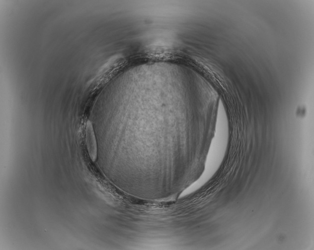 X0000089920601200707201820