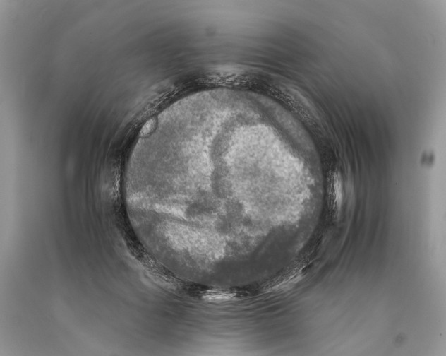 X0000089920602200707201820