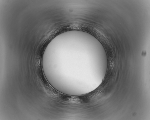 X0000089920603200707201820