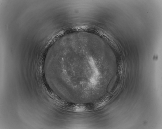 X0000089920604200707201820