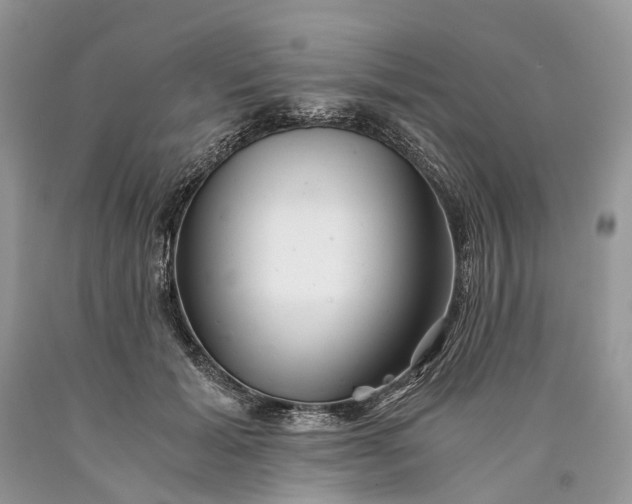 X0000089920605200707201820