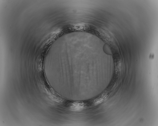 X0000089920606200707201820