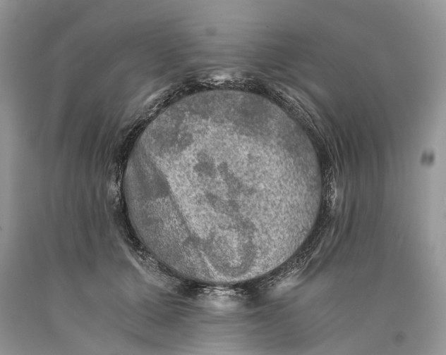 X0000089920607200707201820