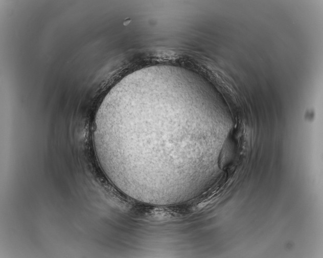 X0000089920608200707201820