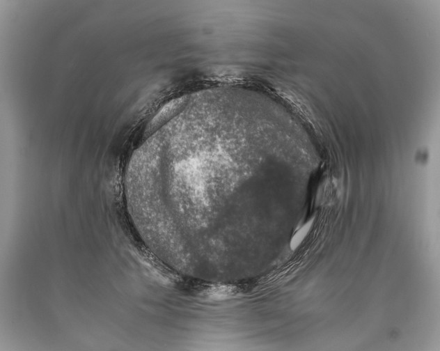 X0000089920609200707201820