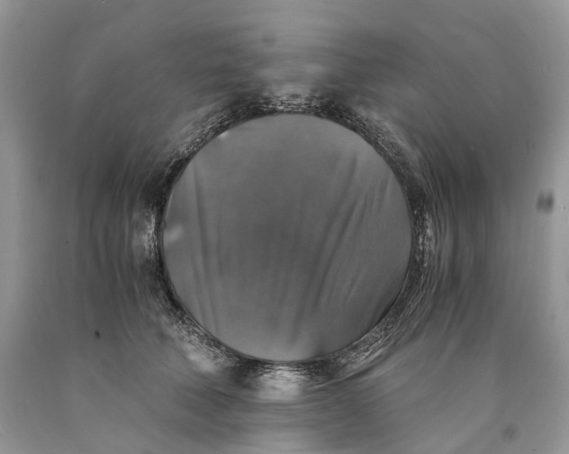 X0000089920610200707201820