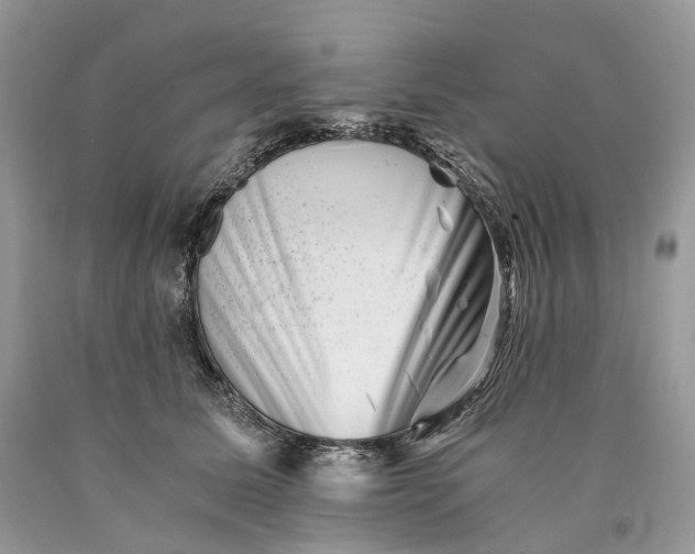 X0000089920611200707201820